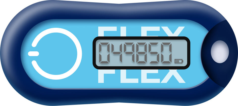 Protectimus Flex TOTP hardware token
